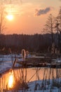 Sunset over the marsh Shchukino Royalty Free Stock Photo