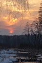 Sunset over the marsh Shchukino Royalty Free Stock Photo