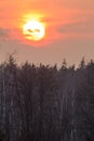 Sunset over the marsh Shchukino Royalty Free Stock Photo