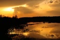 Sunset over the marshy lake