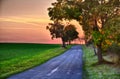 Sunset over meadow , asphalt road and broad leaf tree at autumn evening, sky, Royalty Free Stock Photo