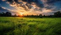 Sunset over meadow, grass and trees create vibrant nature scene generated by AI Royalty Free Stock Photo