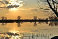 Sunset over meadow and meadow lake. Cloudy sky. The sky and water are colored in orange sunset light. Silhouettes of trees without Royalty Free Stock Photo