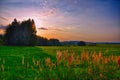 Sunset over meadow and spruce trees at summer evening, sunlight, sky, green grass.Relaxing atmosphere. Countryside landscape. Royalty Free Stock Photo