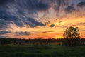 Sunset over meadow, trees and fog, dramatic sky Royalty Free Stock Photo