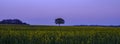 Sunset over the Meon Valley near Swanmore, UK