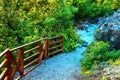 In the picture - a path in a dense forest in the mountains