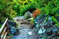 In the picture - a path in a dense forest in the mountains