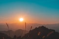 Sunset over mountains and forest with grass flower with sky and sunbeams. Royalty Free Stock Photo