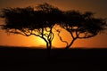 Sunset over mountains with tree with sun shining through clouds mountains clouds