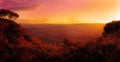 Sunset over the mountains and trees Royalty Free Stock Photo