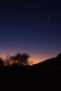 Sunset over Namib Desert with Tree Royalty Free Stock Photo