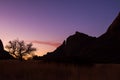 Sunset over Namib Desert with Tree Royalty Free Stock Photo