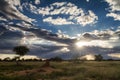 Sunset over the namibian grassland Royalty Free Stock Photo