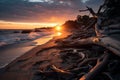 a sunset over the ocean with driftwood on the beach Royalty Free Stock Photo