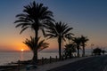 Sunset over the ocean with palm trees in silhouette and a beachfront sidewalk and oceanfront road Royalty Free Stock Photo