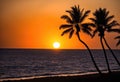 A sunset over the ocean with palm trees silhouetted against the sky.