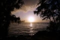 Sunset over the ocean seen through the trees Royalty Free Stock Photo