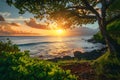 Sunset Over Ocean With Tree in Foreground