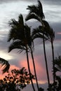 Sunset over the Pacific Ocean in Kailua Kona in Hawaii Royalty Free Stock Photo