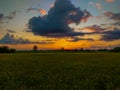 Sunset over the paddy field Royalty Free Stock Photo