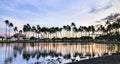 Sunset over palm trees at Ala Moana Beach in Honolulu, Hawaii