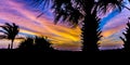 Sunset Over Palm Trees in a Caribbean Paradise Royalty Free Stock Photo