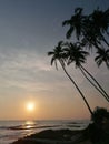 sunset over palm trees and sea Royalty Free Stock Photo