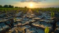 Sunset over Parched Earth: A Symphony of Cracks and Resilience. Concept Nature photography, Royalty Free Stock Photo