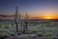 Sunset over the Phoenix Valley in Arizona Royalty Free Stock Photo