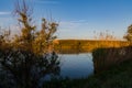 Sunset over a plain lake. The shore of the lake is grown with reeds and sparse trees Royalty Free Stock Photo