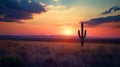 A sunset over the plains with a lone cactus in the foreground - . Royalty Free Stock Photo