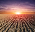 Sunset over plowed agricultural field