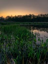Sunset over a pond with young green grass Royalty Free Stock Photo