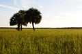 Sunset over Prairie in Florida