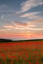 Sunset over red poppies, Polly Joke, West Pentire, Cornwall