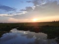 sunset over the rice field in India, beautiful sunset view over the rice field, evening colorful sky. Royalty Free Stock Photo