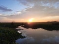 sunset over the rice field in India, beautiful sunset view over the rice field, evening colorful sky. Royalty Free Stock Photo