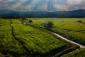 Sunset over the rice fields in Thailand Royalty Free Stock Photo
