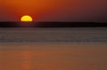 Sunset over river Chobe, Botswana. Royalty Free Stock Photo