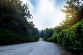 Sunset over the road. Sunrise in summer beautiful park. Bright sunny day in park.  The sun rays illuminate green grass and trees. Royalty Free Stock Photo