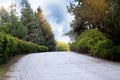 Sunset over the road. Sunrise in summer beautiful park. Bright sunny day in park. The sun rays illuminate green grass and trees Royalty Free Stock Photo