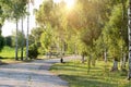 Sunset over the road. Sunrise in summer beautiful park. Bright sunny day in park. The sun  rays illuminate green grass and trees Royalty Free Stock Photo