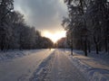 Sunset over the road in the winter city Royalty Free Stock Photo