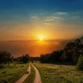 Sunset over road in wood