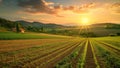 Sunset Over the Rolling Hills Farmland Royalty Free Stock Photo