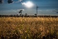 sunset over rural area with wind turbine Royalty Free Stock Photo