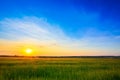 Sunset over rural countryside field Royalty Free Stock Photo