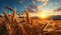 Sunset over a rural farm, golden wheat fields in summer generated by AI Royalty Free Stock Photo