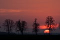 Sunset over rural field Royalty Free Stock Photo